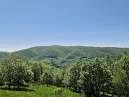 b_1024_768_0_00_images_2022_2023_SKKT_PTTK_rajd_czerwiec_352321425_625305456227187_8886840135343567261_n